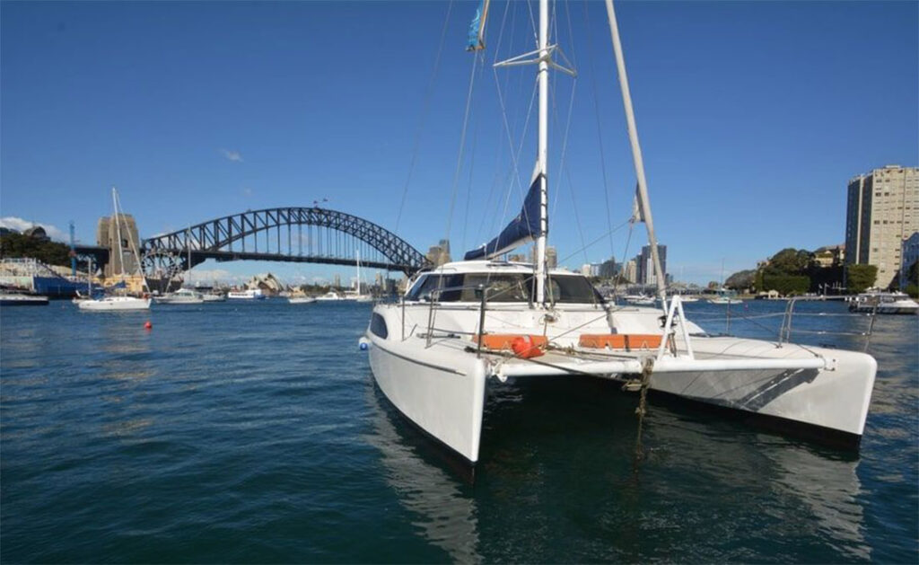 Delphinus with harbour bridge